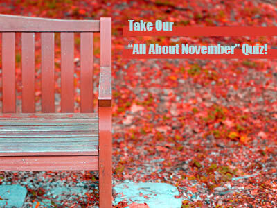 Take Our "All About November" Quiz!