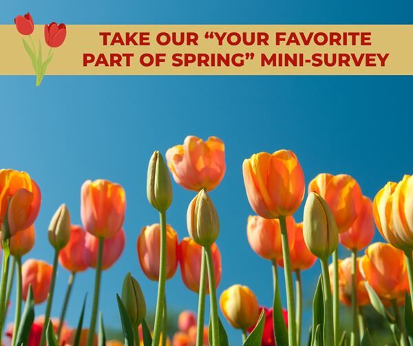Take Our "Your Favorite Part of Spring" Mini-Survey