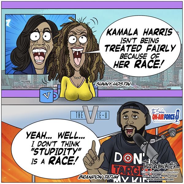 Conservative Cartoons by Todd Schowalter