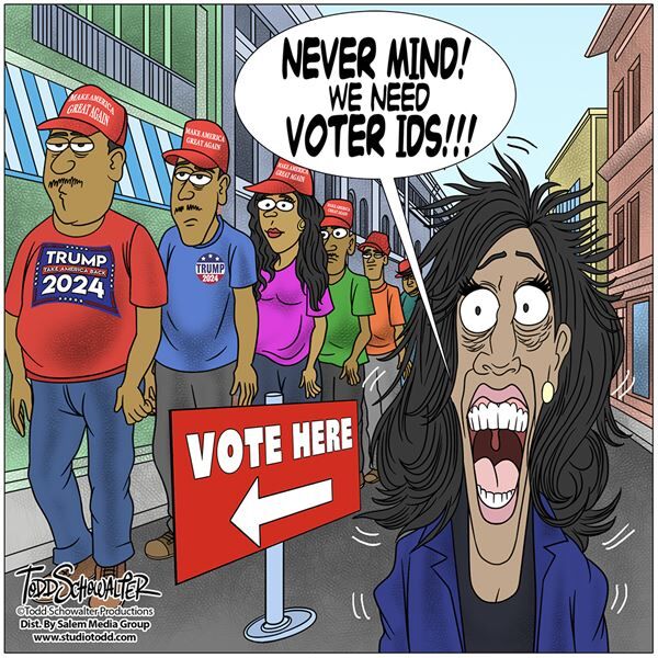 Conservative Cartoons by Todd Schowalter