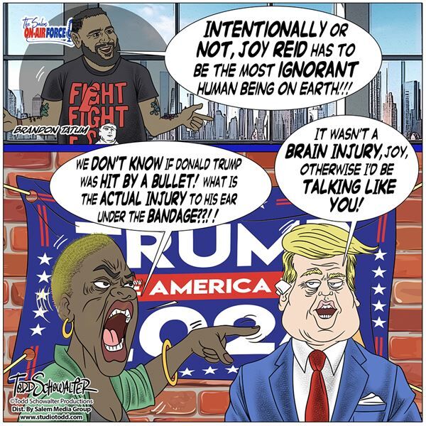 Conservative Cartoons by Todd Schowalter