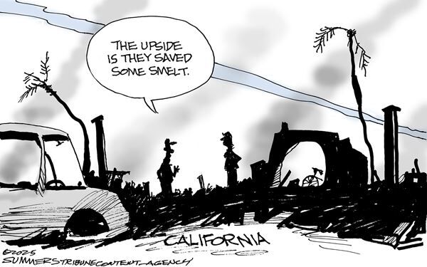 Conservative Cartoons by Dana Summers