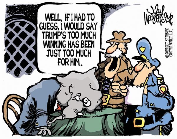 February 21, 2025 — Today's Conservative Cartoon