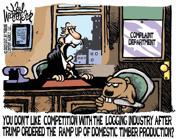 Conservative Cartoons by Joey Weatherford