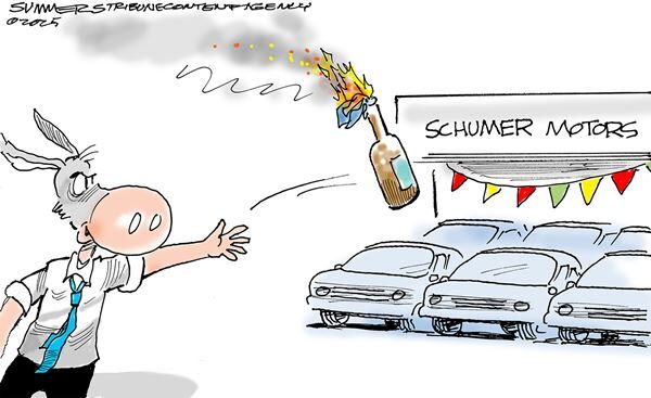 Conservative Cartoons by Dana Summers