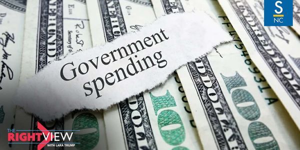 Gov't MLM Schemes
