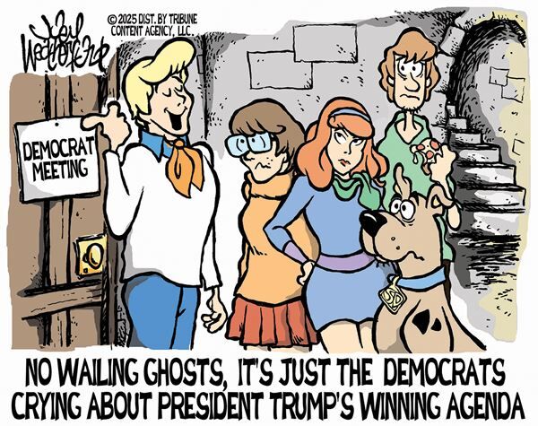 Conservative Cartoons by Joey Weatherford