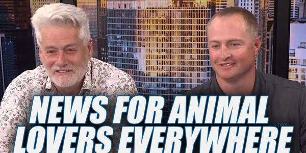 Big News For Animal Lovers!