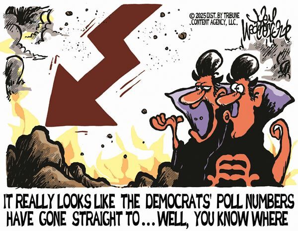 Conservative Cartoons by Joey Weatherford