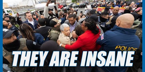 Democrats attack ICE agents in New Jersey
