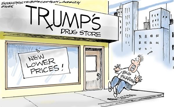 Conservative Cartoons by Dana Summers