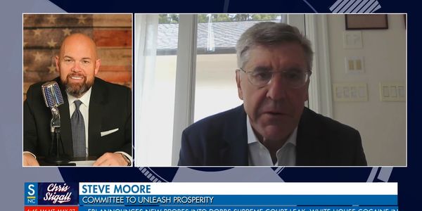 Economist Steve Moore Interview