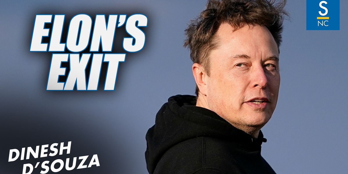 With Elon Musk stepping away, it's time for other Republicans to step up