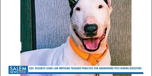 Gov. DeSantis Signs Law Imposing Tougher Penalties For Abandoning Pets During Disasters