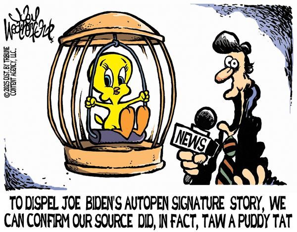 June 10, 2025 — Today's Conservative Cartoon