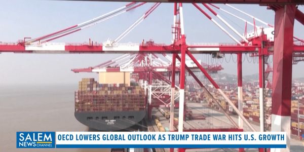 OECD Lowers Global Outlook As Trump Trade War Hits U.S. Growth