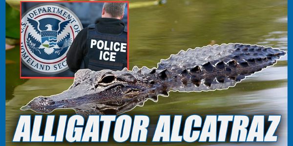 Alligator Alcatraz?