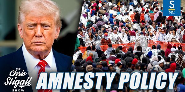 Does Trump want amnesty for illegals?