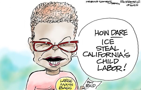 Conservative Cartoons by Dana Summers