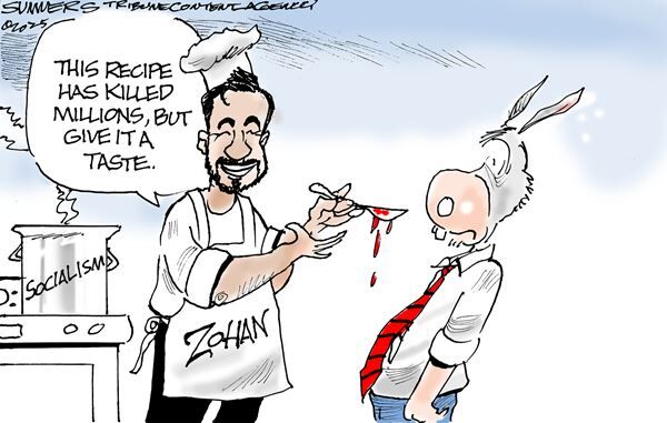 Conservative Cartoons by Dana Summers