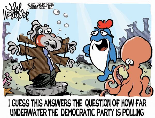 August 26, 2025 — Today's Conservative Cartoon