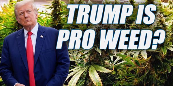 Trump To Reclassify Weed