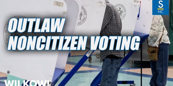 Support for bill outlawing noncitizen voting