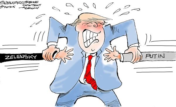 Conservative Cartoons by Dana Summers