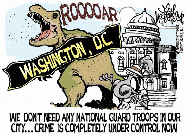 Conservative Cartoons by Joey Weatherford