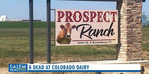 Authorities Investigating Deadly Gas Exposure At Dairy In Colorado