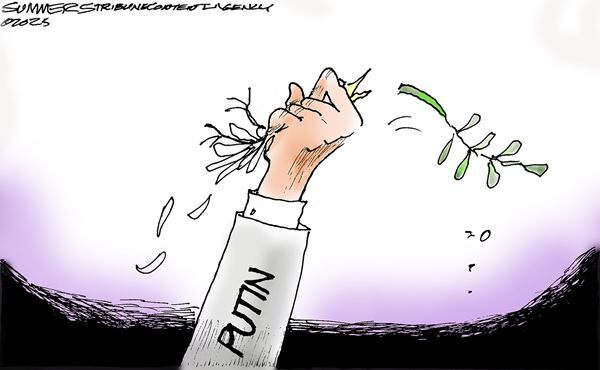Conservative Cartoons by Dana Summers