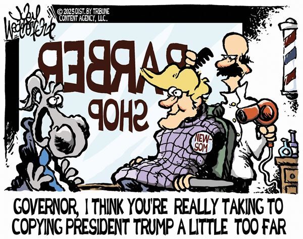 Conservative Cartoons by Joey Weatherford