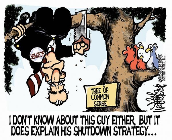 Conservative Cartoons by Joey Weatherford
