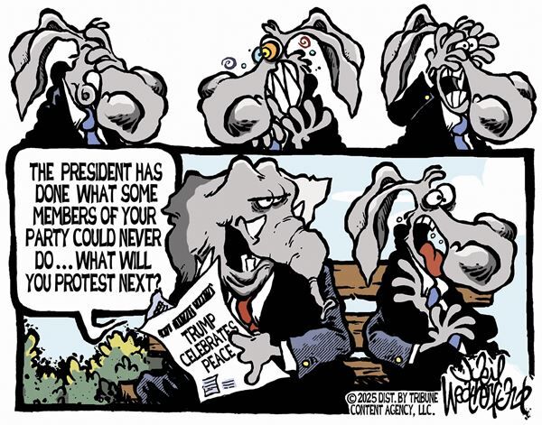 Conservative Cartoons by Joey Weatherford