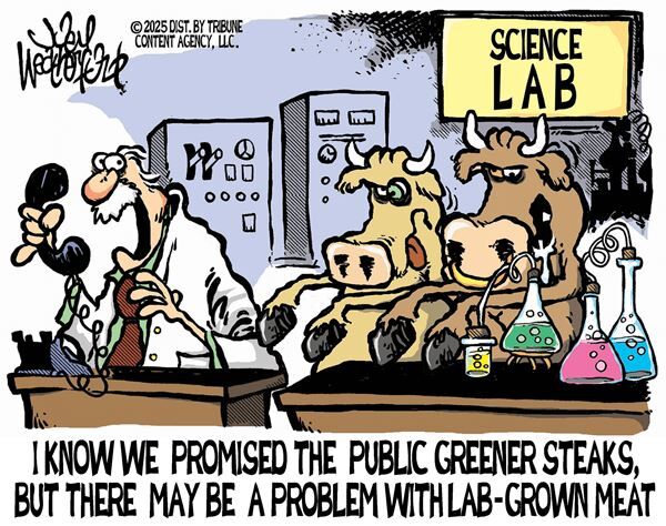 November 13, 2025 — Today's Conservative Cartoon