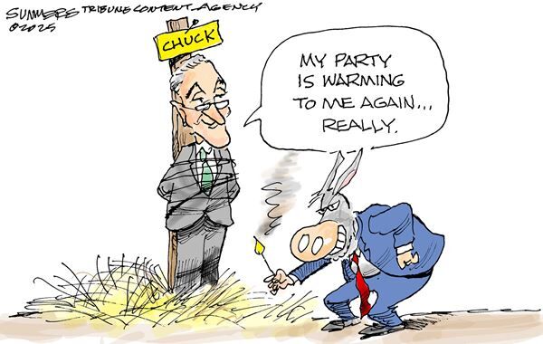 Conservative Cartoons by Dana Summers