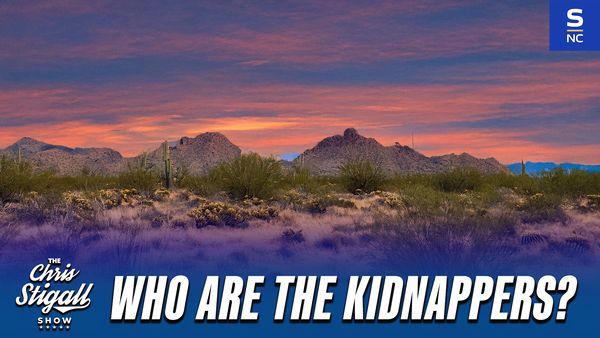 Who are the kidnappers?