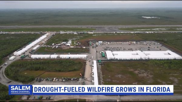 Crews In Florida Battle 25,000-Acre Wildfire Near 'Alligator Alcatraz'