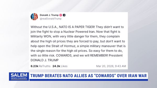 Trump Berates NATO Allies As “Cowards” Over Iran War