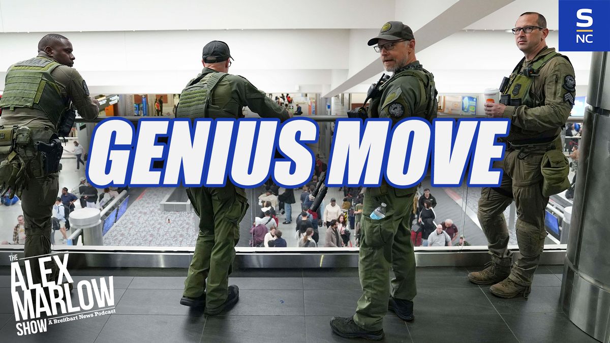 ICE at the airports is a brilliant move