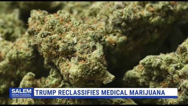 U.S. Loosens Marijuana Rules In Major Shift For $47 Billion Industry