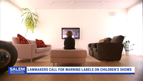 Lawmakers Call For Warning Labels On Children's Shows