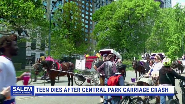 Teen Dies After Being Thrown From Runaway Horse-Drawn Carriage In Central Park