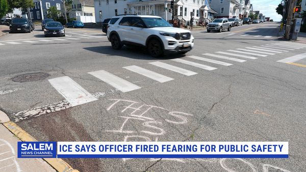 ICE Says Officer Fired While Fearing For Public Safety