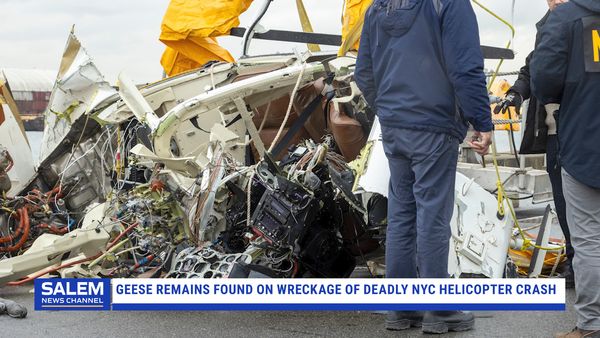 Geese Remains Found On Wreckage Of Deadly NYC Helicopter Crash