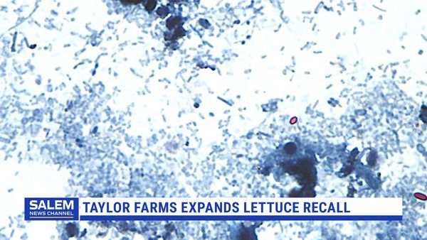 Taylor Farms Expands Lettuce Recall Amid Cyclospora Outbreak
