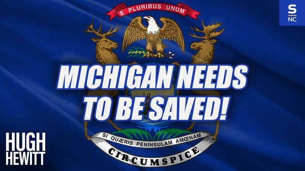 Michigan Needs to Be Saved!