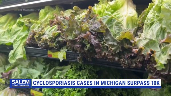 Cyclosporiasis Cases In Michigan Surpass 10,000 In Ongoing Outbreak