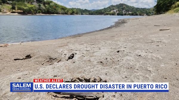 U.S. Declares Drought Disaster For Parts Of Puerto Rico As Dry Conditions Persist