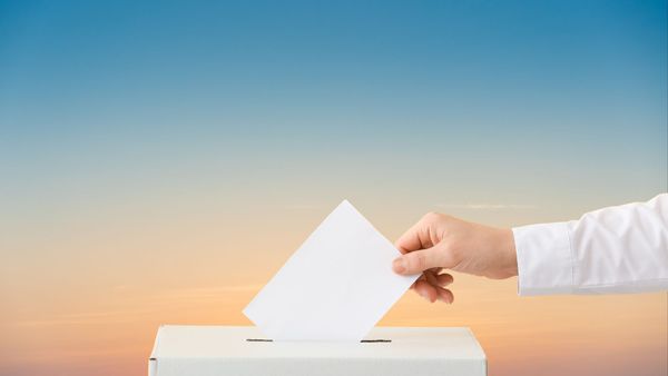 Early Voting:  We Can't Win In '24 Without It